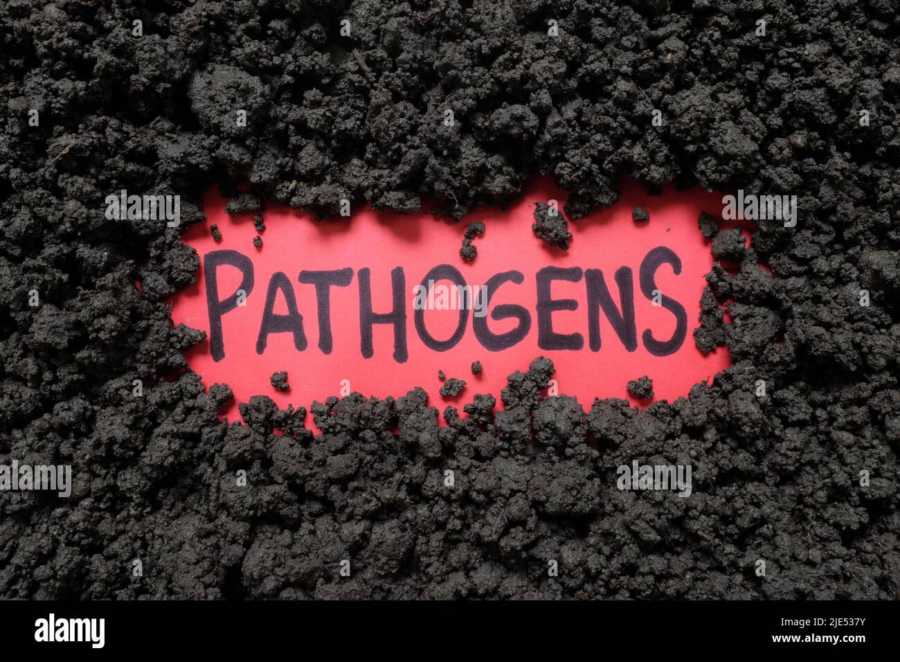 Concetto di patogeno della malattia di suolo-Borne. Parola scritta su un pezzo di carta sul suolo. Foto Stock