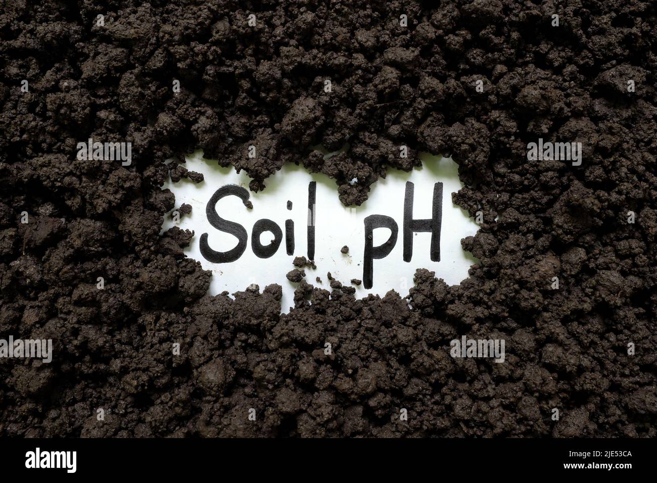 Terreno pH concetto di agricoltura. Parola scritta su un pezzo di carta sul suolo. Foto Stock
