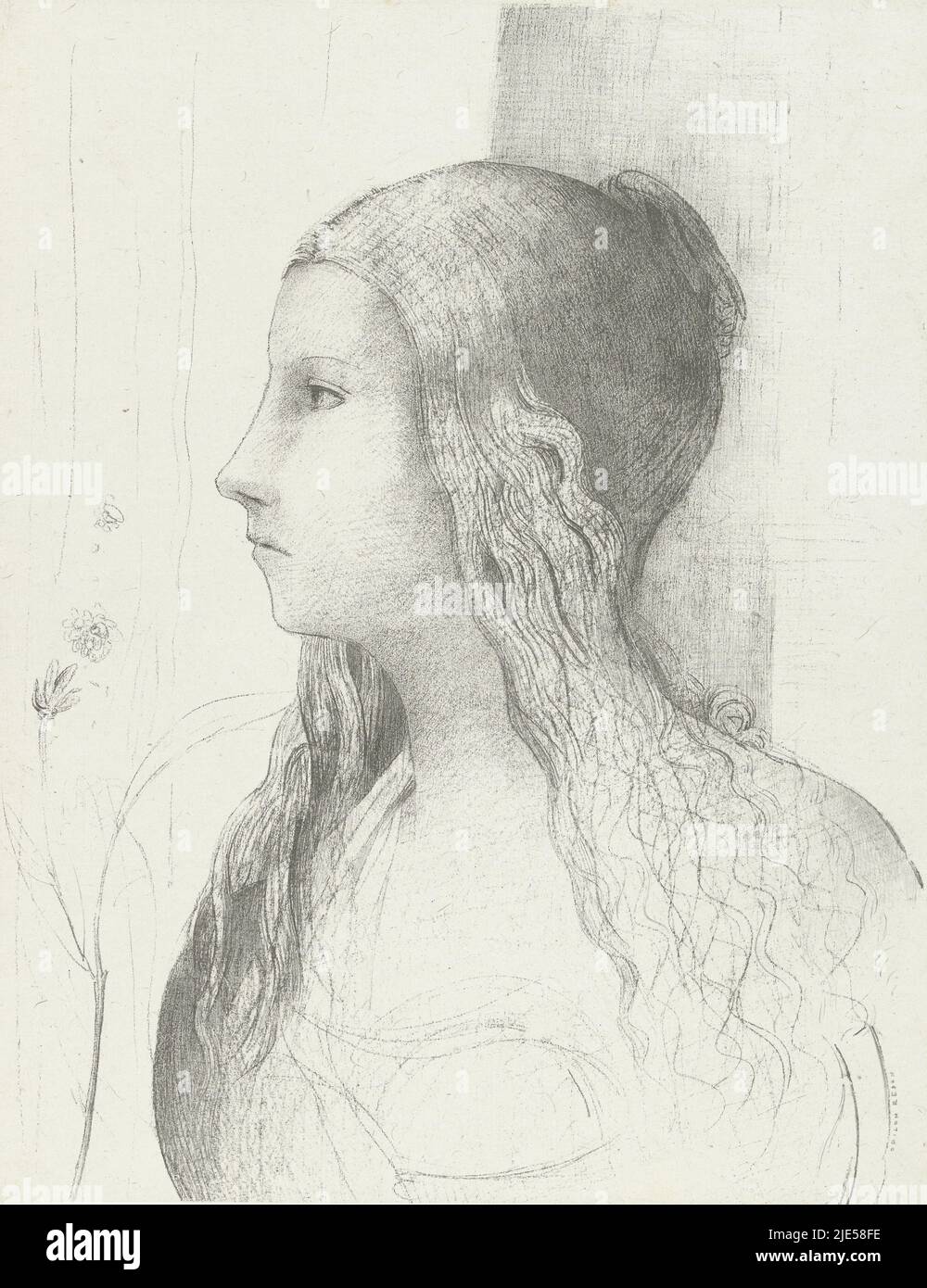 Brunhilde, una donna della mitologia norrena, e profil., Brunhilde (caduta degli dei) Brunnhilde (crépuscule des dieux), tipografo: Odilon Redon, (menzionato sull'oggetto), tipografo: Léon Monrocq, tipografo: Francia, tipografo: Parigi, 1894 Foto Stock