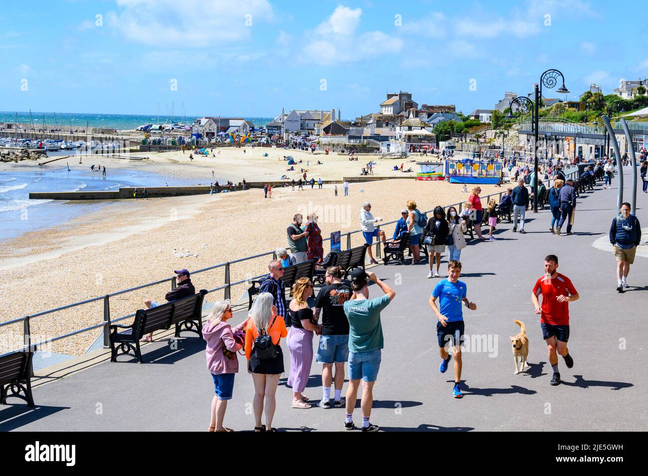 Lyme Regis, Dorset, Regno Unito. 25th giugno 2022. UK Meteo: I visitatori e la gente del posto fanno il meglio di incantevoli incantesimi caldi e soleggiati in una giornata calda, ma blustery alla stazione balneare di Lyme Regis. Si prevede che il sole si rompa più tardi, poiché la pioggia e il tempo tuono vengono dall'Occidente portando in condizioni più umide e mutevoli. Credit: Celia McMahon/Alamy Live News Foto Stock