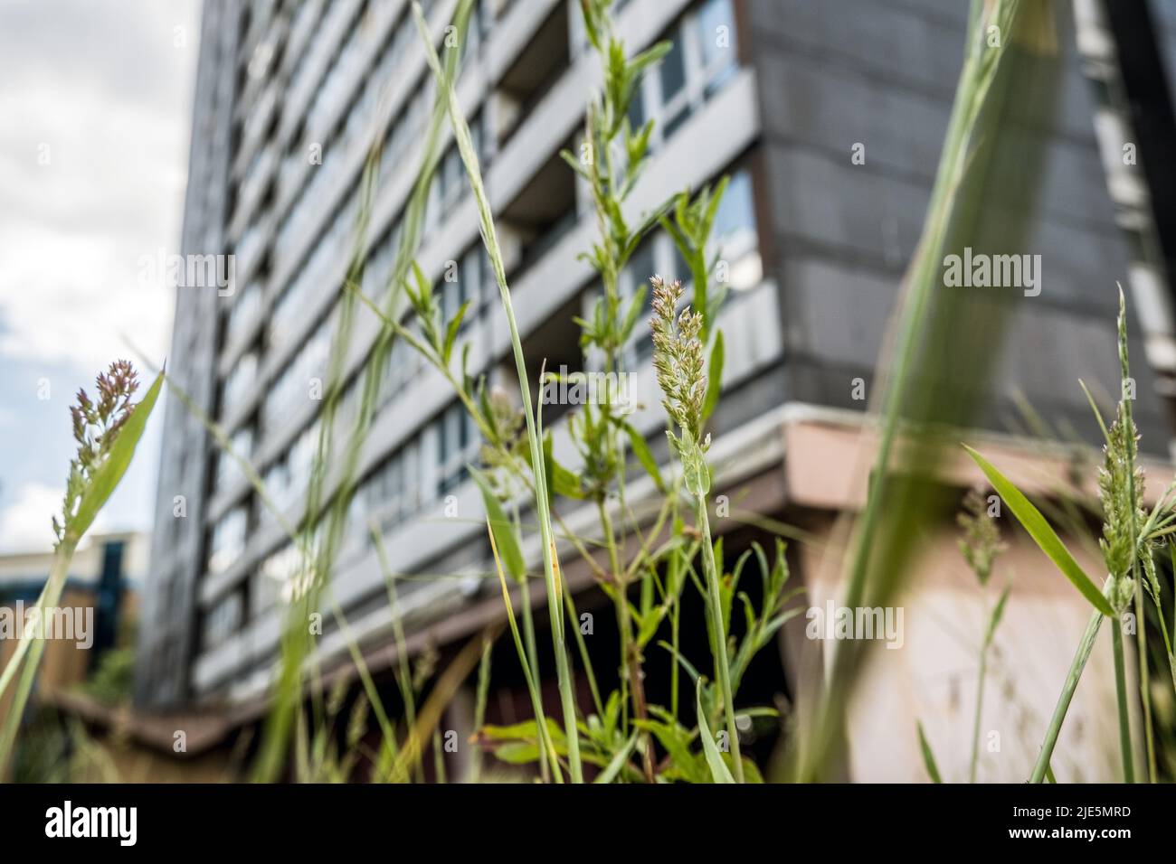 Torre vuota - James Riley Point on the Carpenters Estate, Stratford, Newham, destinato allo sviluppo, Londra 2022 Foto Stock