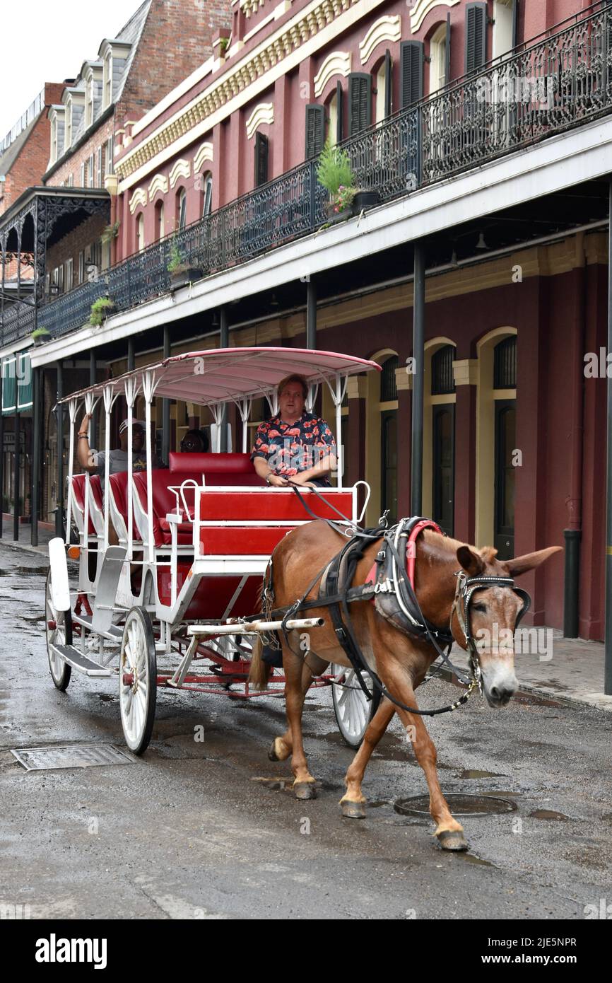 Attrazioni turistiche intorno allo storico quartiere francese di New Orlean Foto Stock