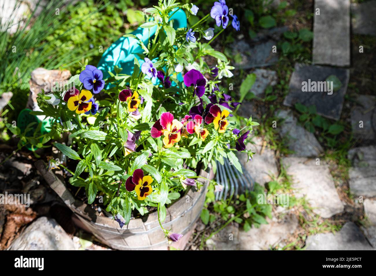 letto floreale decorativo con panties in vasca di legno sul percorso della casa di campagna Foto Stock