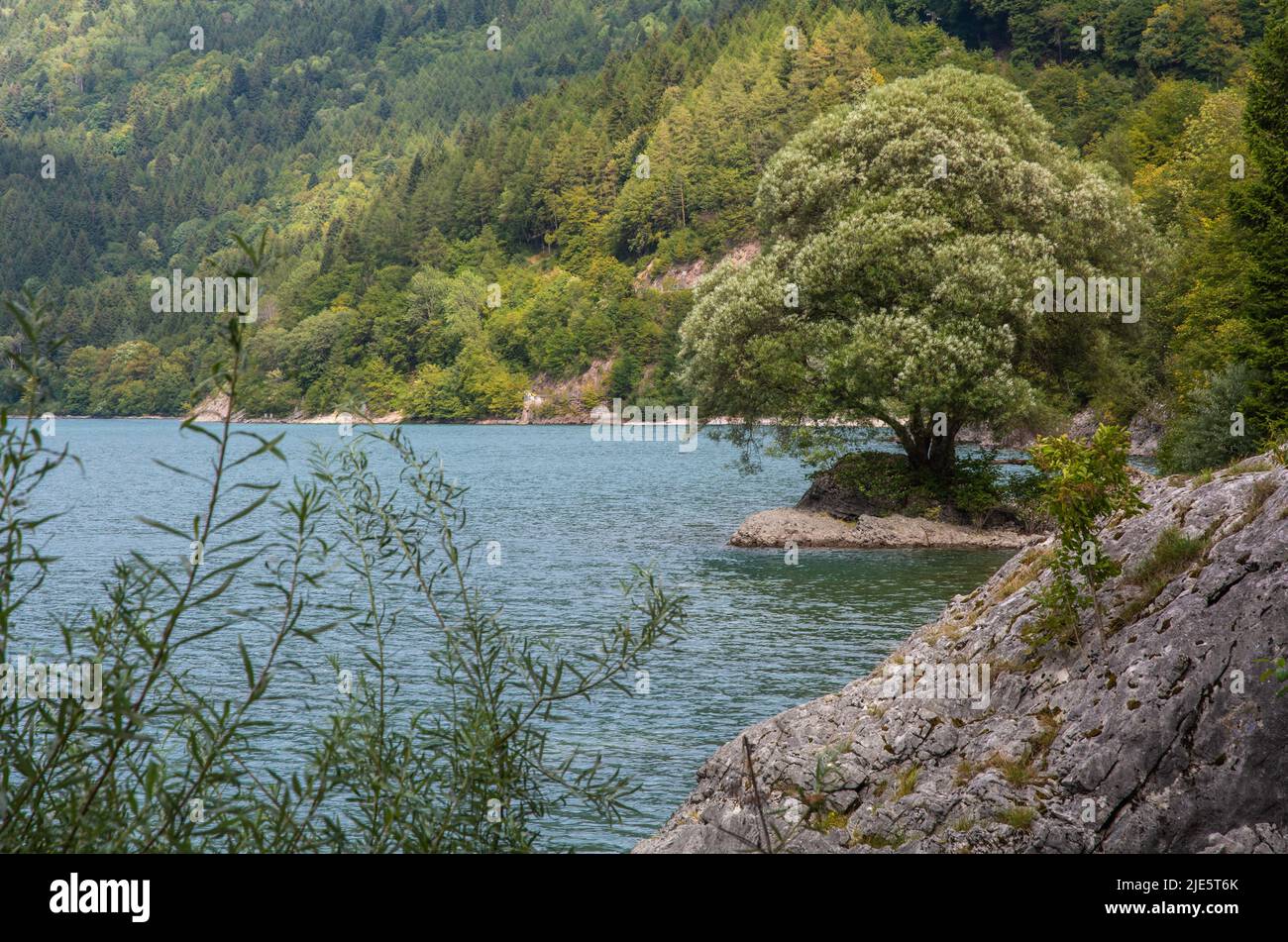 Vista sul lago di Molveno nel Parco Naturale Adamello - Brenta. Il lago si trova sulla riva del Molveno, ai piedi del gruppo Dolomiti di Brenta, in Italia Foto Stock