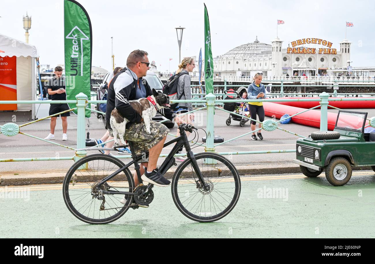 Brighton UK 25th Giugno 2022 - questo cane ottiene un sollevamento in una giornata ventosa a Brighton come tempo più fresco è previsto per il Regno Unito nei prossimi giorni dopo il recente periodo caldo: Credit Simon Dack / Alamy Live News Foto Stock