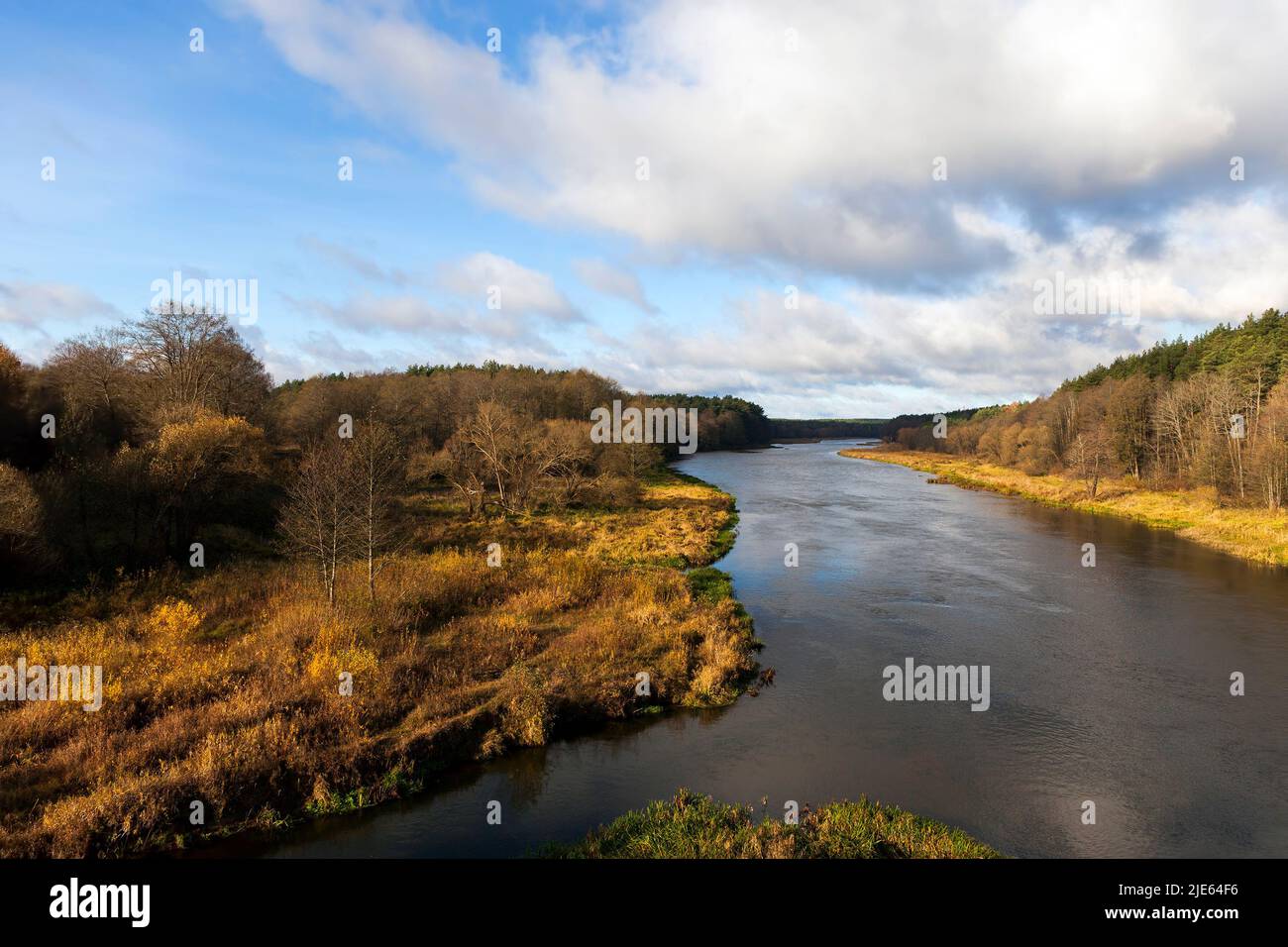 un ampio fiume nella stagione autunnale, alberi forestali con fogliame giallo sulla riva del fiume in autunno Foto Stock