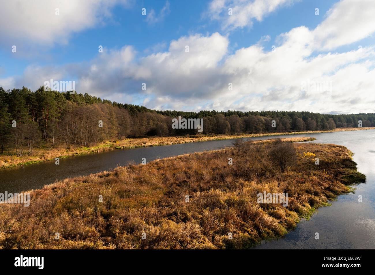 un ampio fiume nella stagione autunnale, alberi forestali con fogliame giallo sulla riva del fiume in autunno Foto Stock
