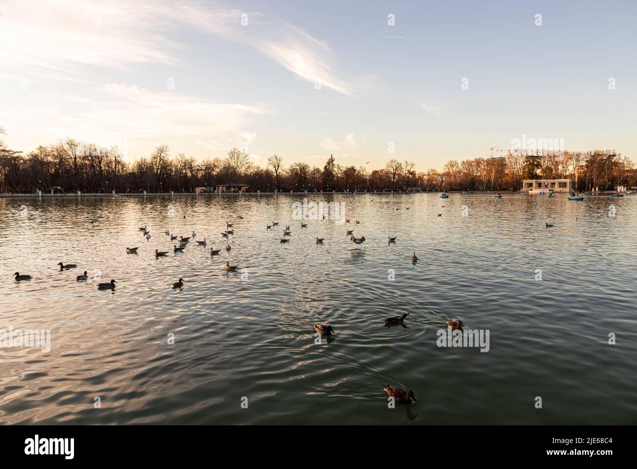 Madrid, Spagna. L'Estanque Grande del Buen Retiro, un lago artificiale situato nel parco del Buen Retiro Foto Stock