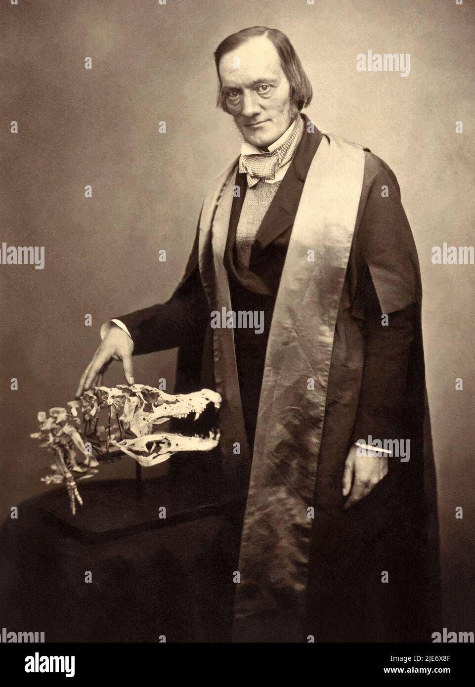 Sir Richard Owen KCB FRS (1804-1892) biologo inglese, anatomista comparativo e paleontologo che coniò il termine dinosauria, da cui deriva la parola dinosauro. Owen era un critico parlato della teoria dell'evoluzione di Charles Darwin per selezione naturale. Foto: 1856. Foto Stock