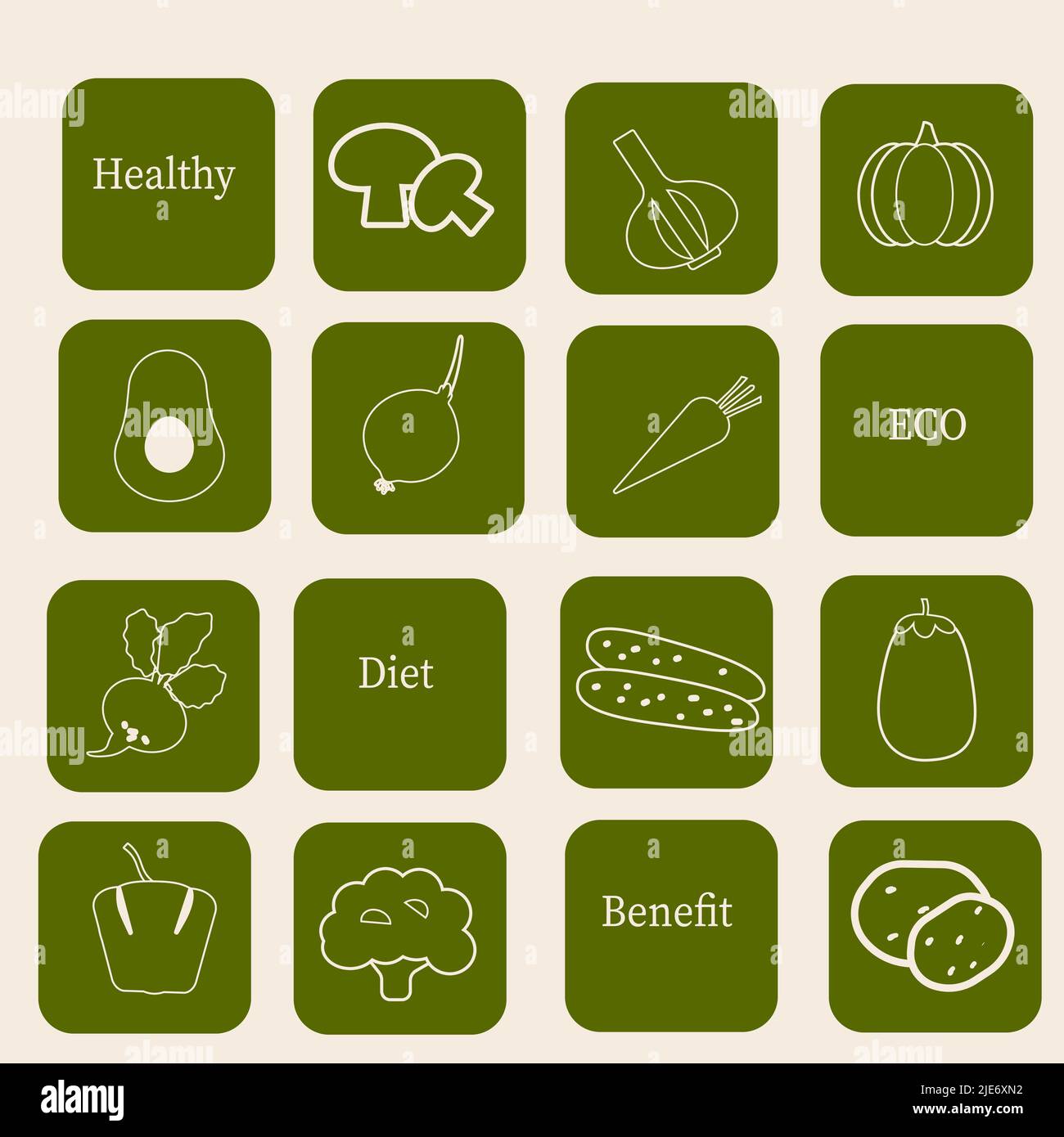 Collezione di adesivi con icone vegetali in verde. Concetto di cibo sano. Illustrazione grafica vettoriale. Illustrazione Vettoriale