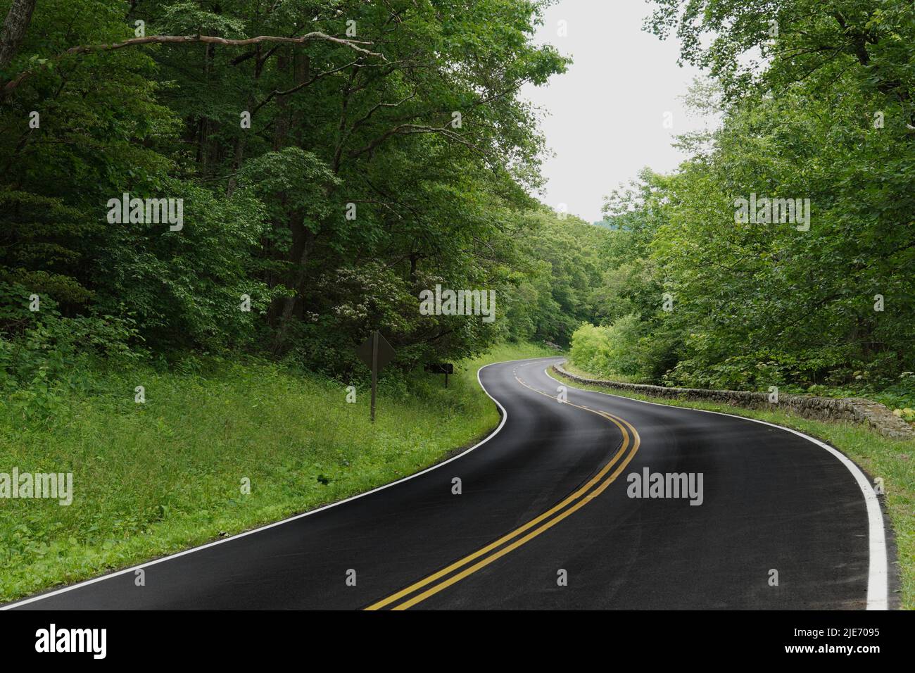 Curva nella strada attraverso il Parco Nazionale di Shenandoah sulla Skyline Drive Foto Stock