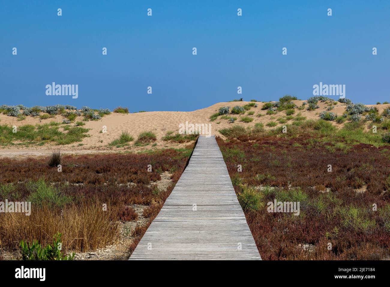 Guardando lungo una passerella di legno che conduce alle dune di sabbia, a Golden Beach lungo la penisola di Karpaz Foto Stock