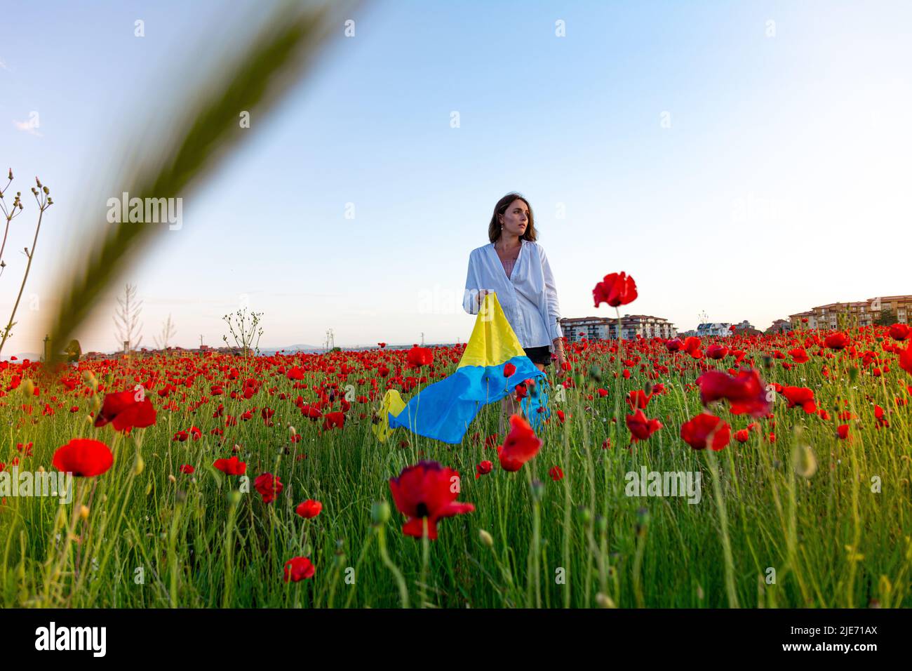 Una bella ragazza giovane in una camicia bianca e pantaloncini si pone in un campo di papavero con la bandiera dell'Ucraina al tramonto. Foto Stock