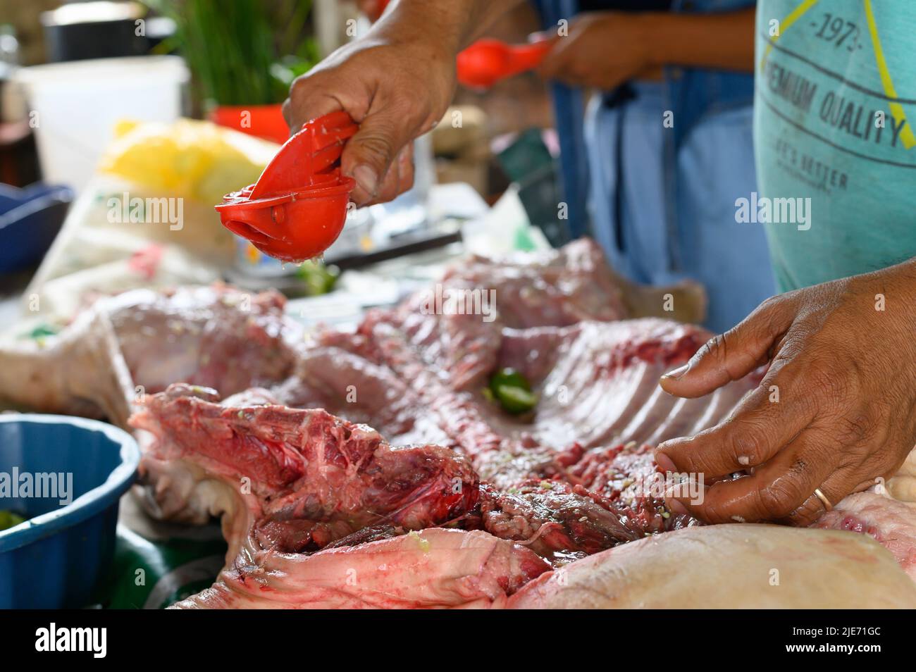 Preparazione e condimento di un piccolo suino da succhiare per cucinare su un fuoco di legno Foto Stock