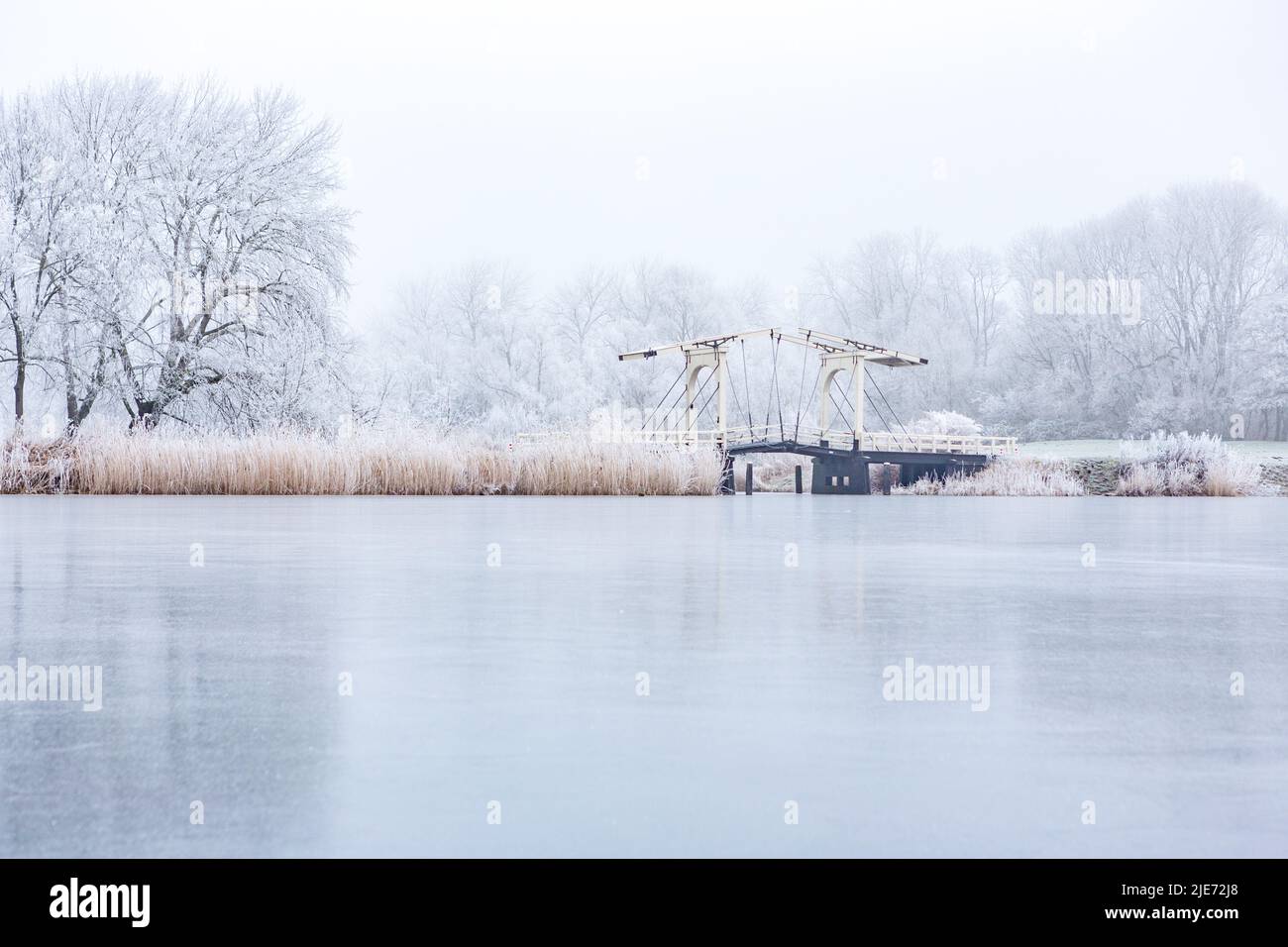 Ponte e alberi bianchi congelati in un'atmosfera da favola sul bosbaan nell'Amsterdamse Bos nei Paesi Bassi. Foto Stock