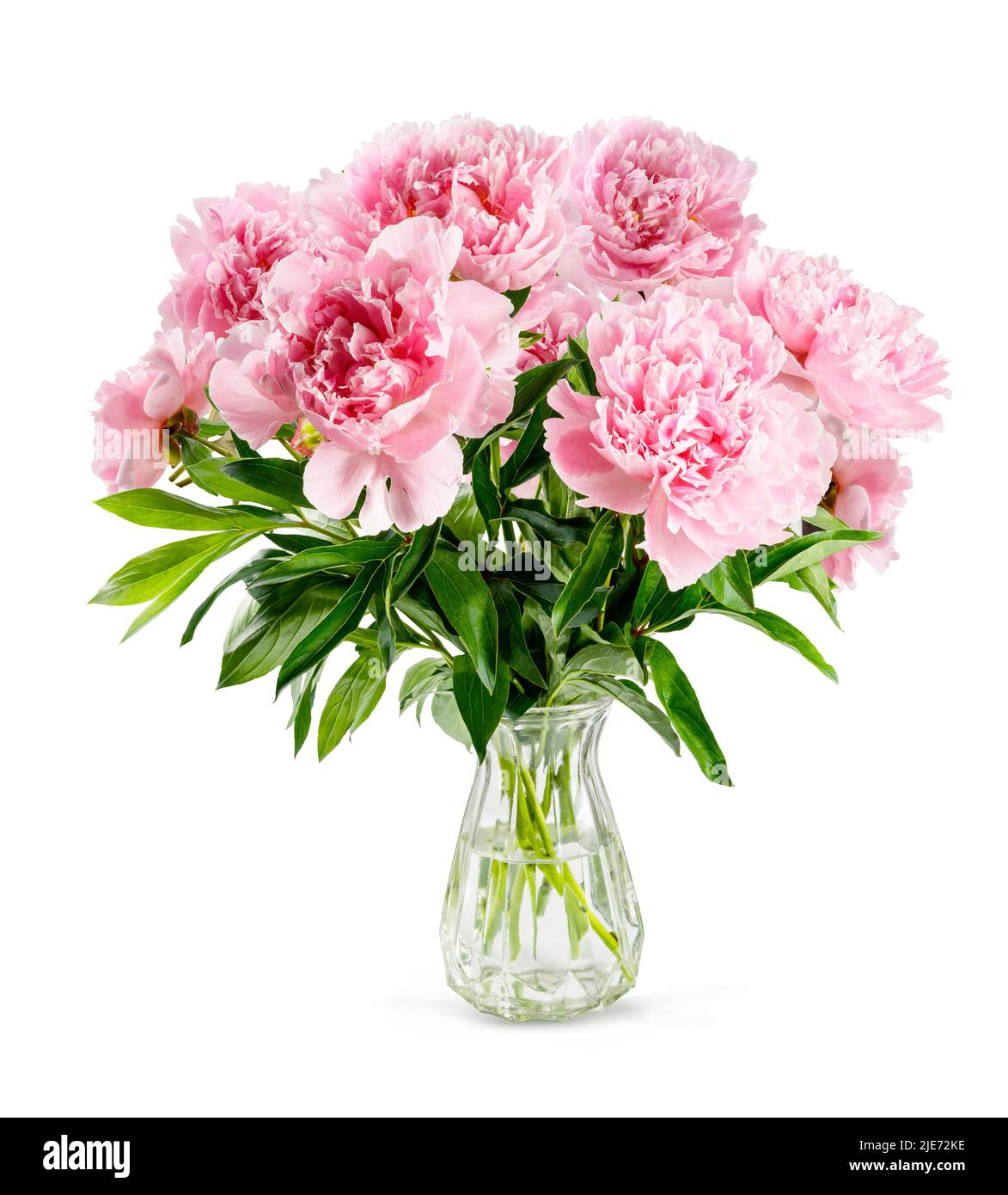 Fiori rosa di peonia in vaso di vetro isolato su sfondo bianco. Bouquet di peonie. Foto Stock