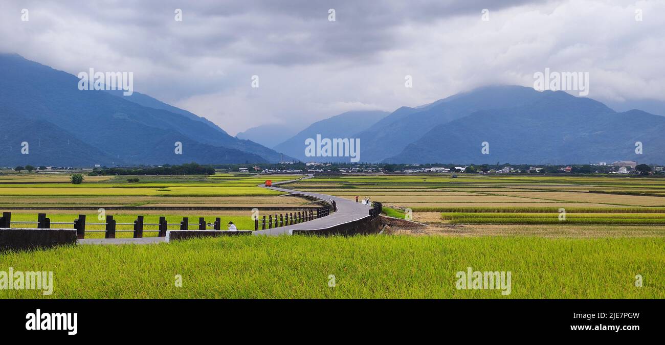 La vista panoramica del bellissimo Paddy Field con Alba a Brown Avenue, Chishang, Taitung, Taiwan Foto Stock