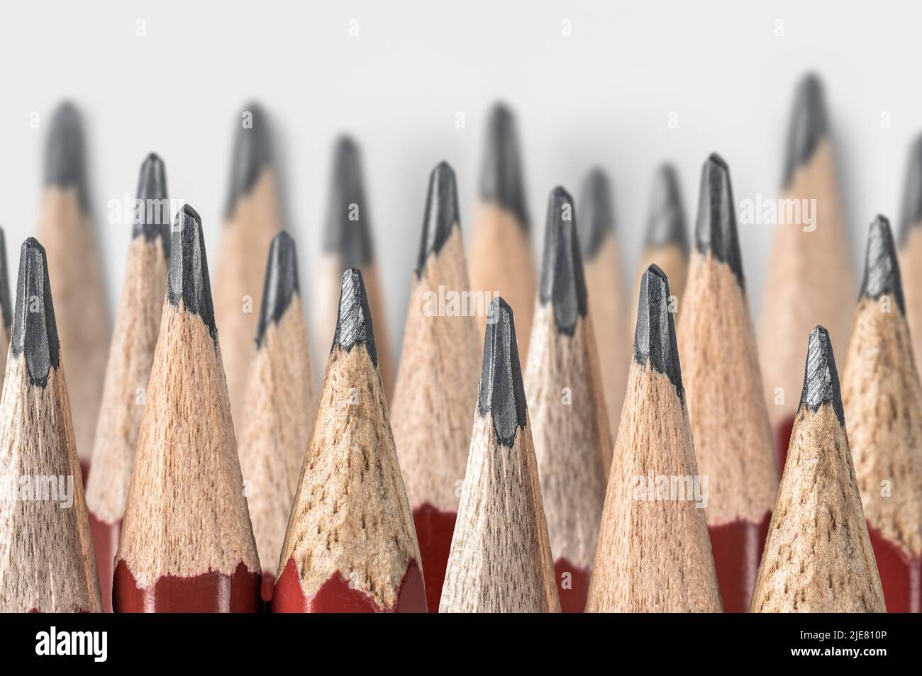 molte matite affilate disposte in diverse file. matite affilate vicine isolate su sfondo grigio. strumento per disegnare, disegnare e disegnare p Foto Stock