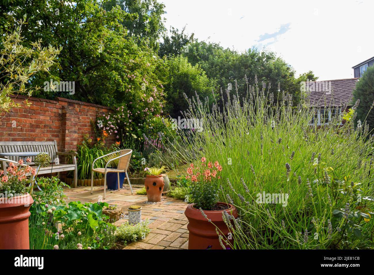 Giardino interno posteriore o cortile con aiuole di fiori e erba prato e piante pentola Foto Stock