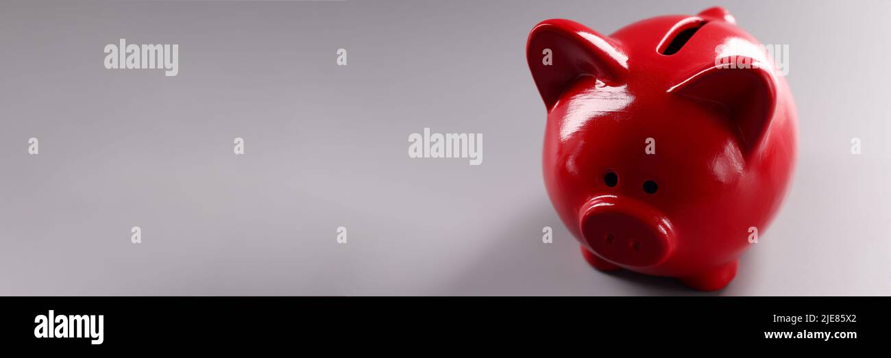 Riva di piggy rossa in piedi su sfondo grigio primo piano Foto Stock