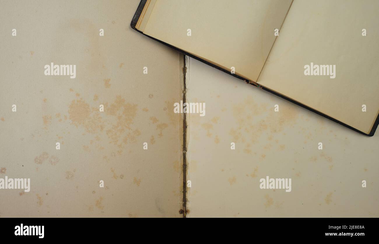 libro e notebook vuoti, organizer personale analogico, pagine vuote, lettura, letteratura, ricerca, spazio di copia gratuito Foto Stock