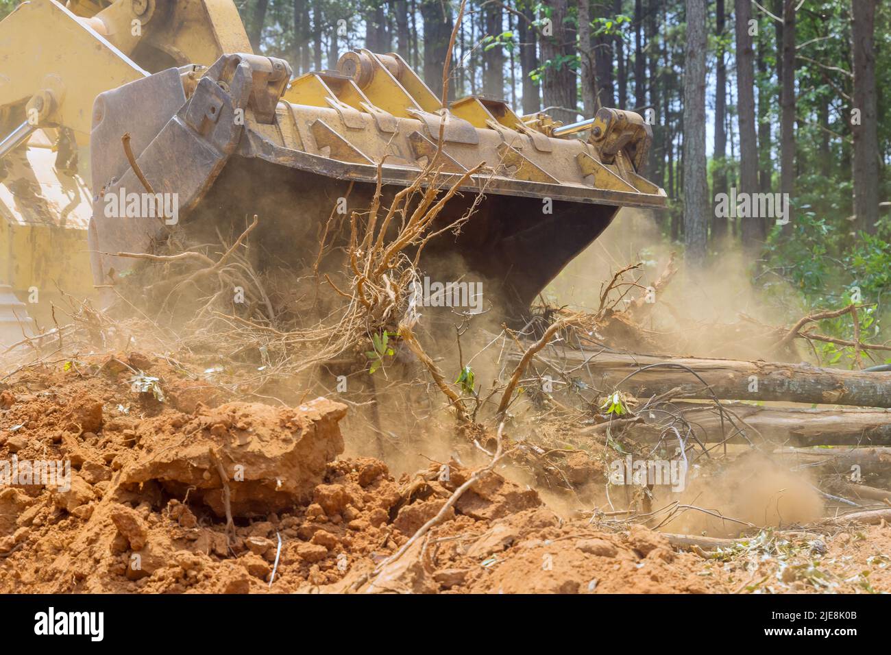 Retroescavatore per lavori di silvicoltura durante la sgombero della foresta per la costruzione di nuove costruzioni di sviluppo Foto Stock