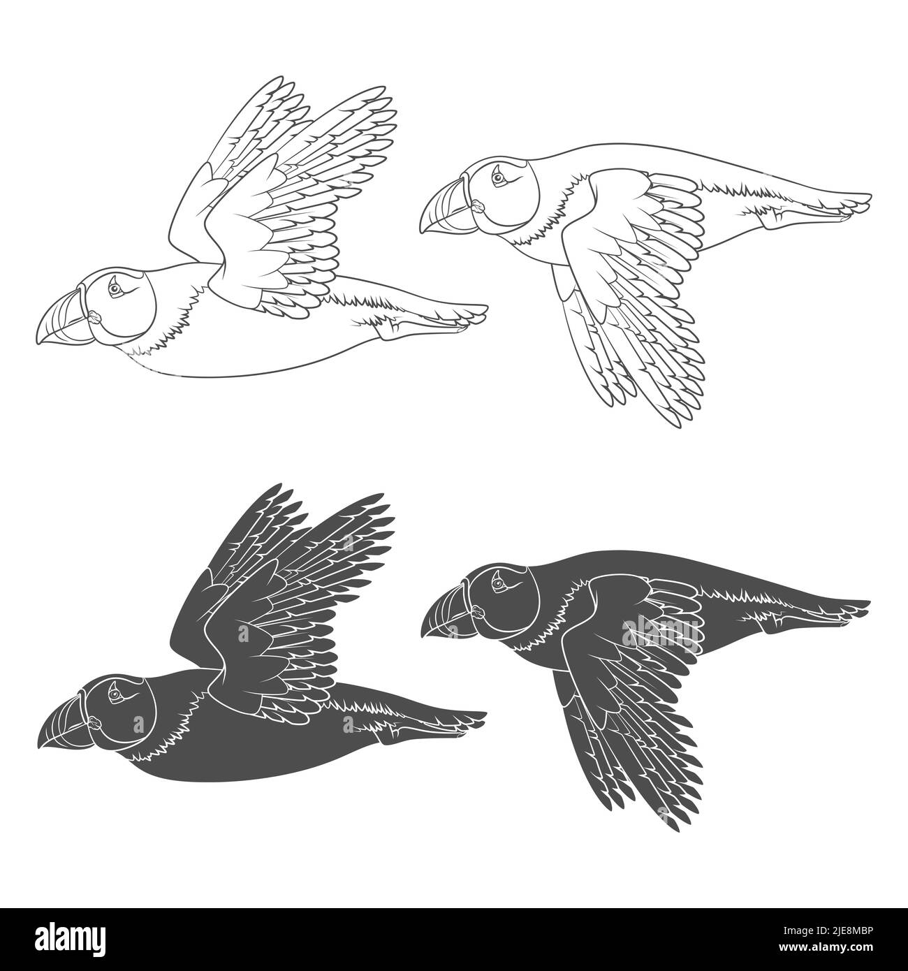 Set di illustrazioni in bianco e nero con uccello volante in puffin. Oggetti vettoriali isolati su sfondo bianco. Illustrazione Vettoriale