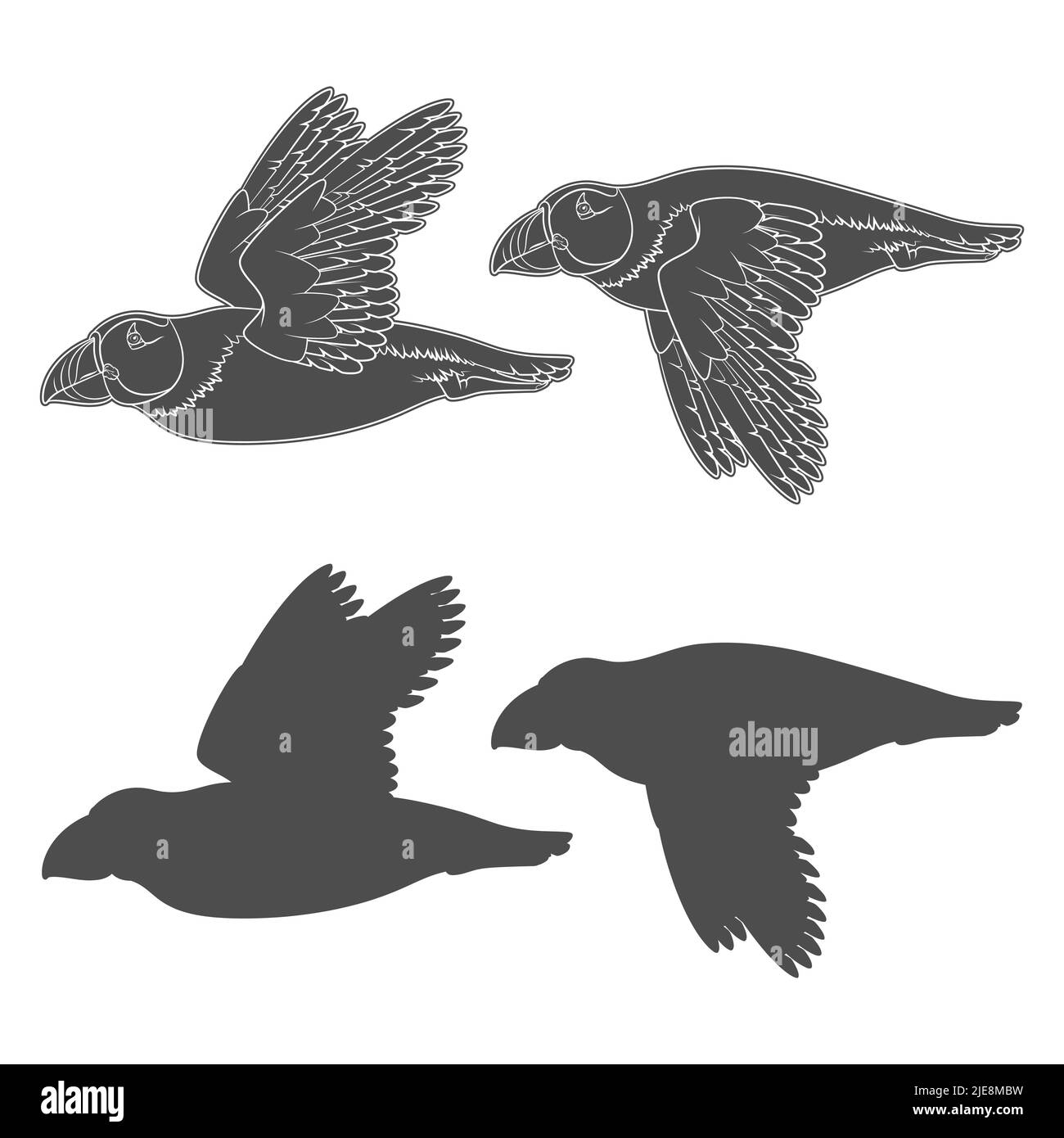 Set di illustrazioni in bianco e nero con uccello volante in puffin. Oggetti vettoriali isolati su sfondo bianco. Illustrazione Vettoriale