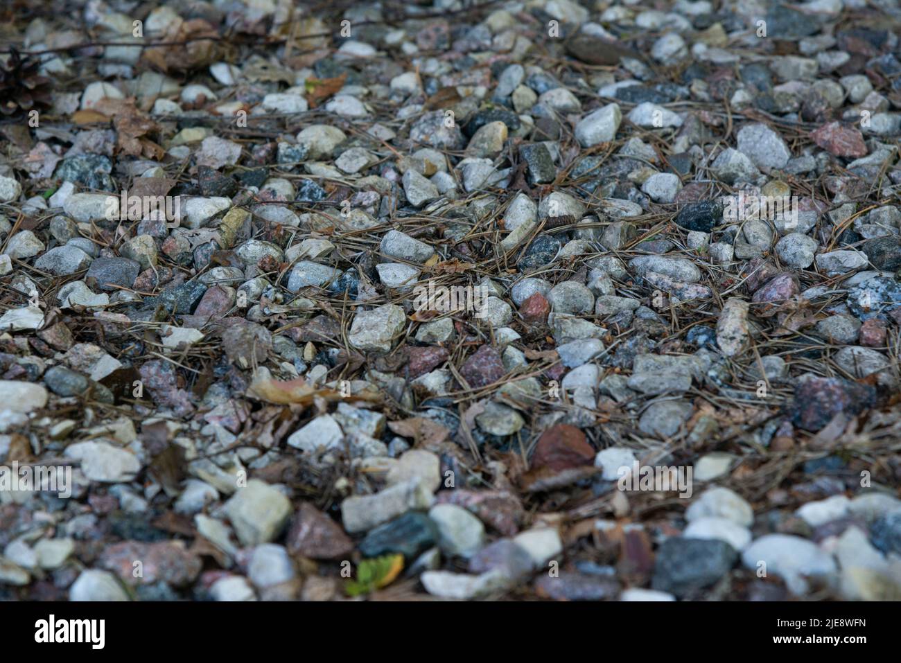 Ciottoli sfondo di pietra Foto Stock