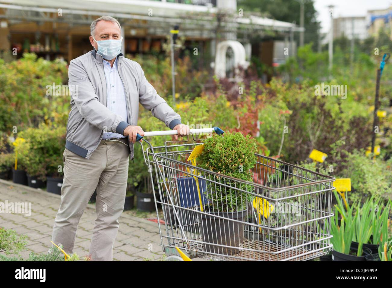 Uomo in maschera di faccia scelta giovani pianta nel mercato Foto Stock