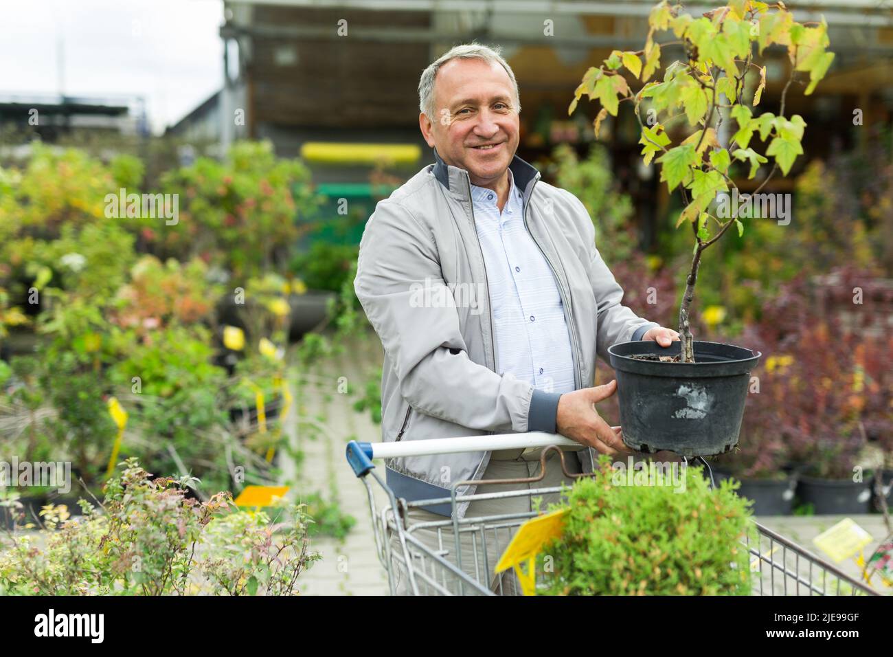 Shopping uomo di mezza età nel centro giardino Foto Stock