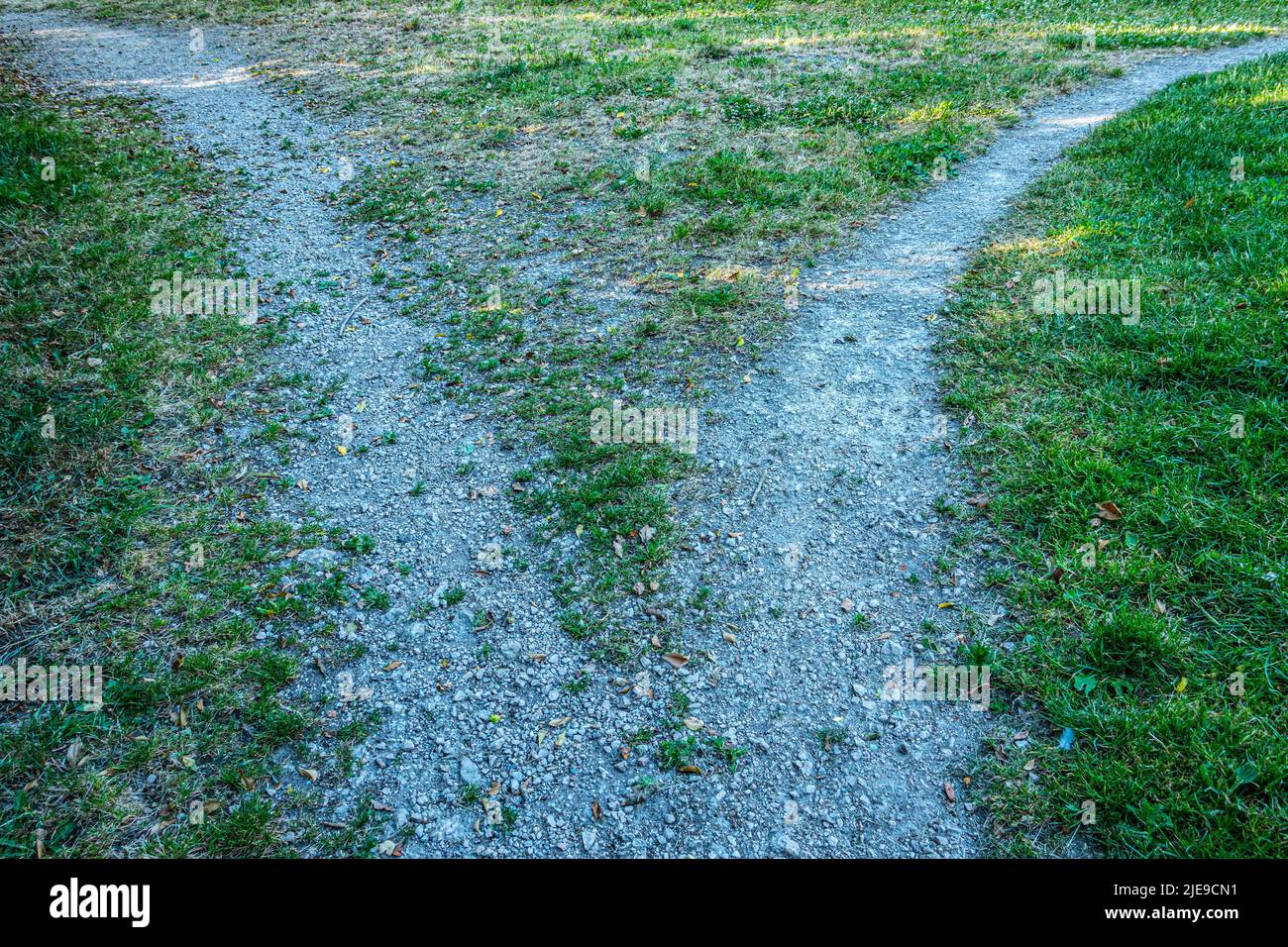 il percorso si divide Foto Stock