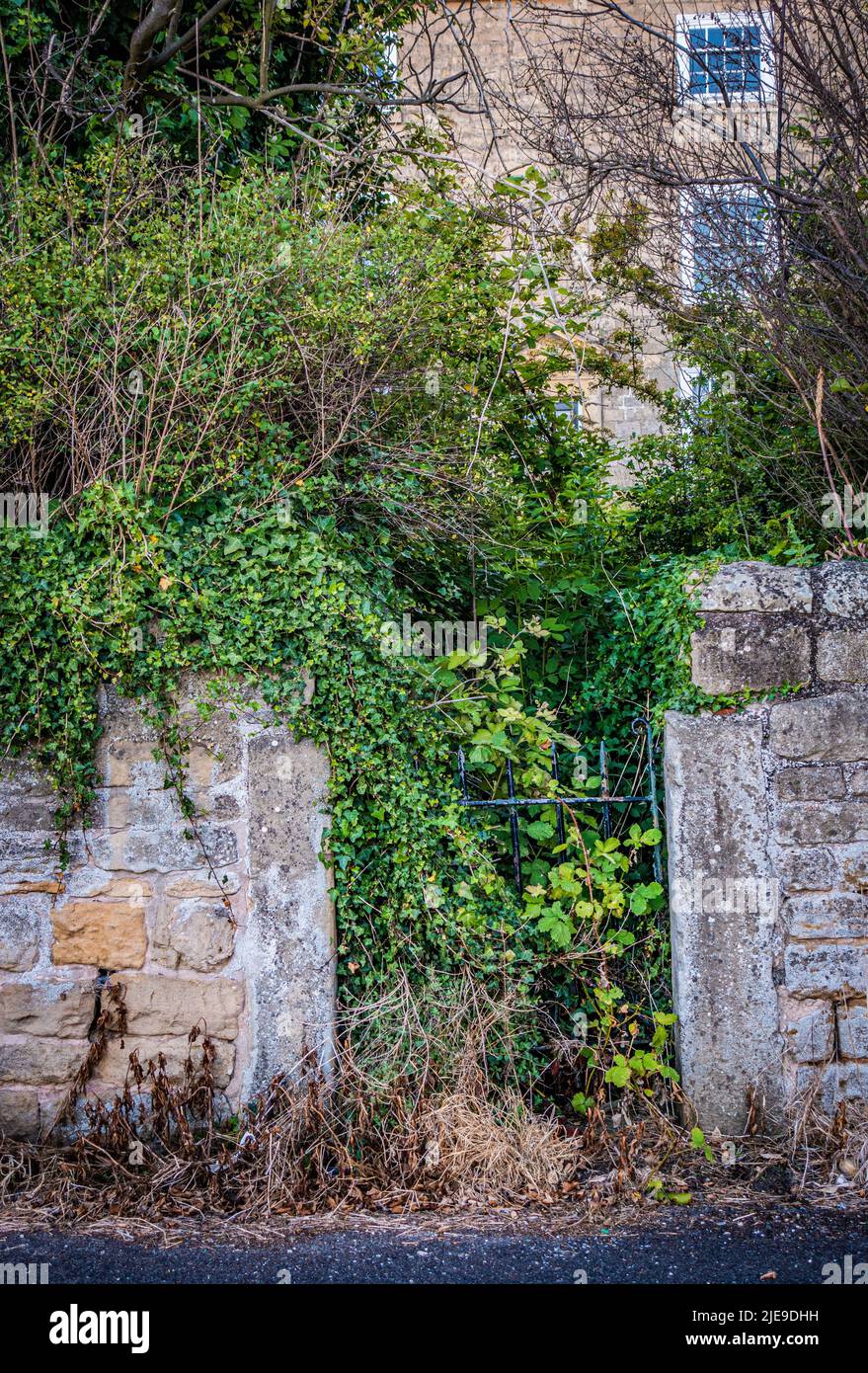 Pali del cancello di una vecchia casa di campagna ricoperti di edera Foto Stock