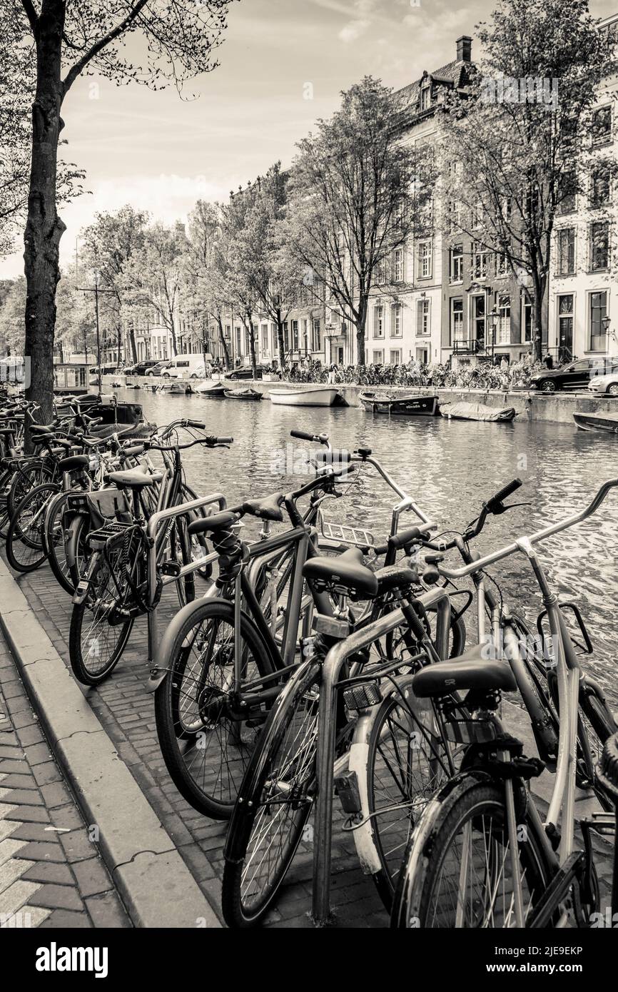 Amsterdam, paesi bassi, biciclette e canali Foto Stock