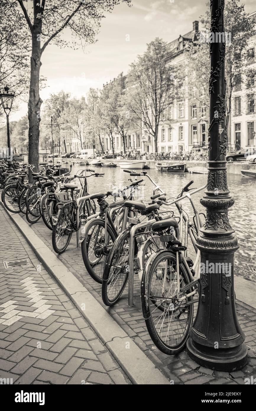 Amsterdam, paesi bassi, biciclette e canali Foto Stock