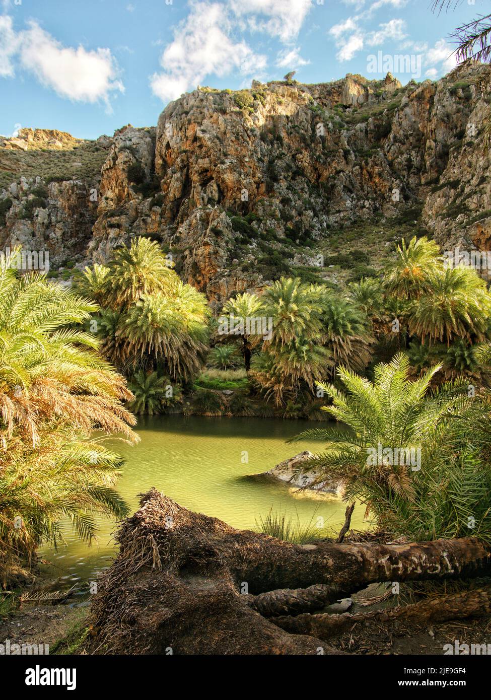 Preveli Palm Beach a Rethymno, Creta una delle migliori isole greche berache non scoperto. Foto Stock