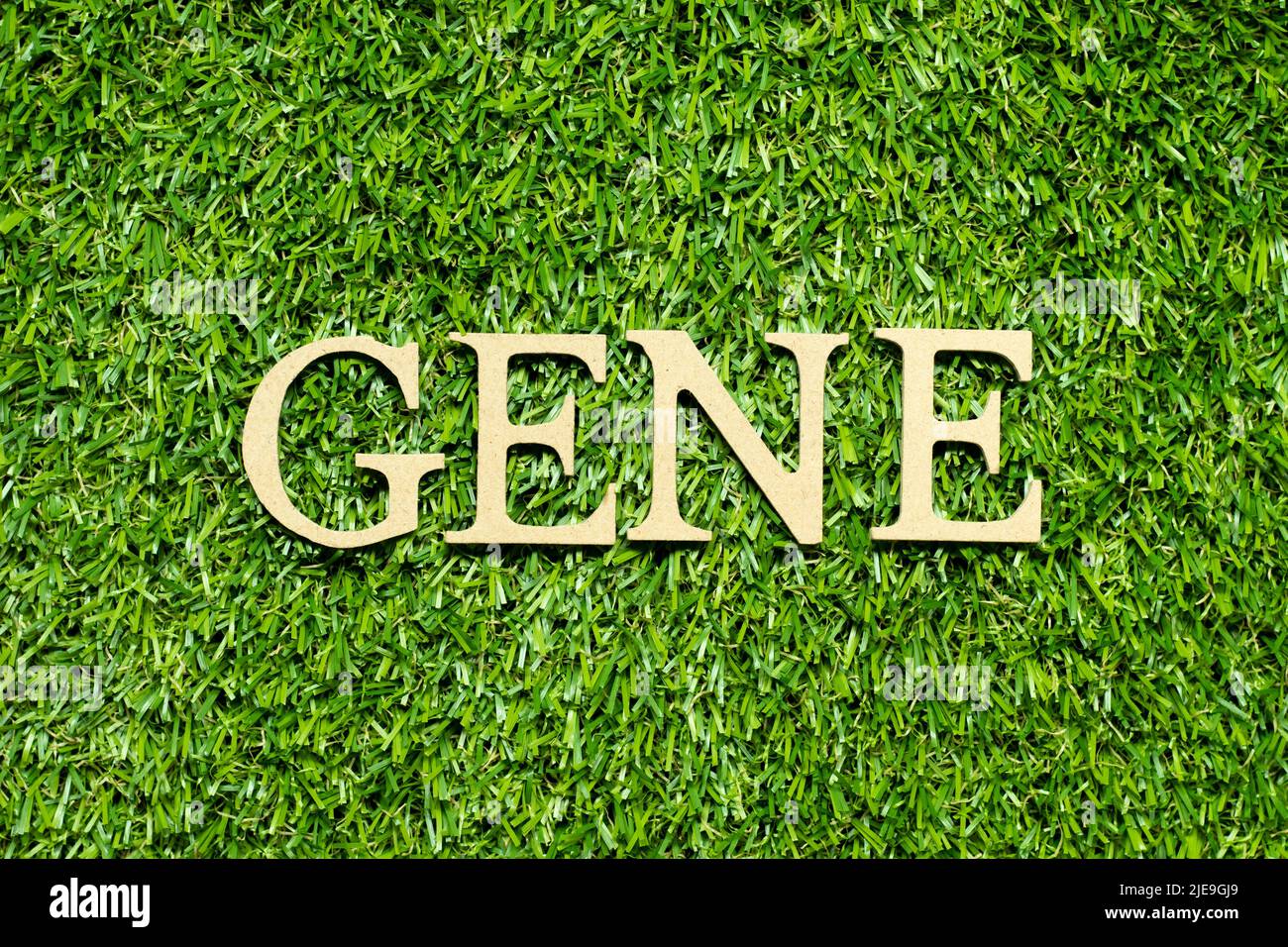 Lettera dell'alfabeto del legno in gene di parola su sfondo verde dell'erba Foto Stock