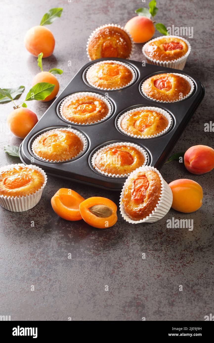 Muffin estivi appena sfornati con primo piano di albicocche fresche in una teglia per muffin sul tavolo. Verticale Foto Stock
