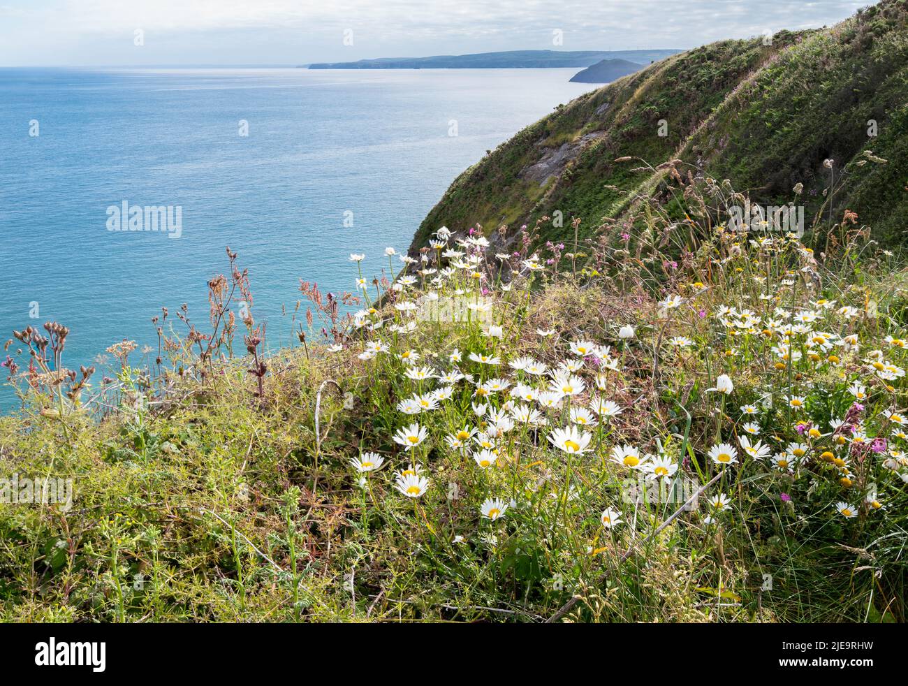 Cornovaglia del Nord, Inghilterra Regno Unito: Viste del mare dalla costa sud-occidentale tra Polzeath e Port Isaac in una giornata di primavera soleggiata. Foto Stock