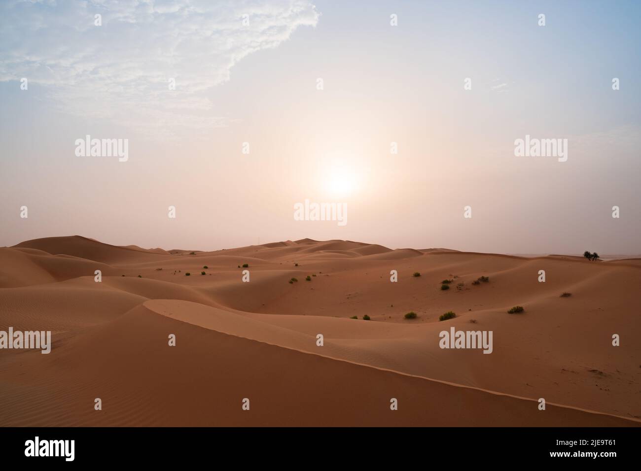 Sole che sorge sulle ampie dune di sabbia arancione del deserto di al Wathba ad Abu Dhabi, Emirati Arabi Uniti. Paesaggio esotico per spazio di copia orizzontale. Foto Stock