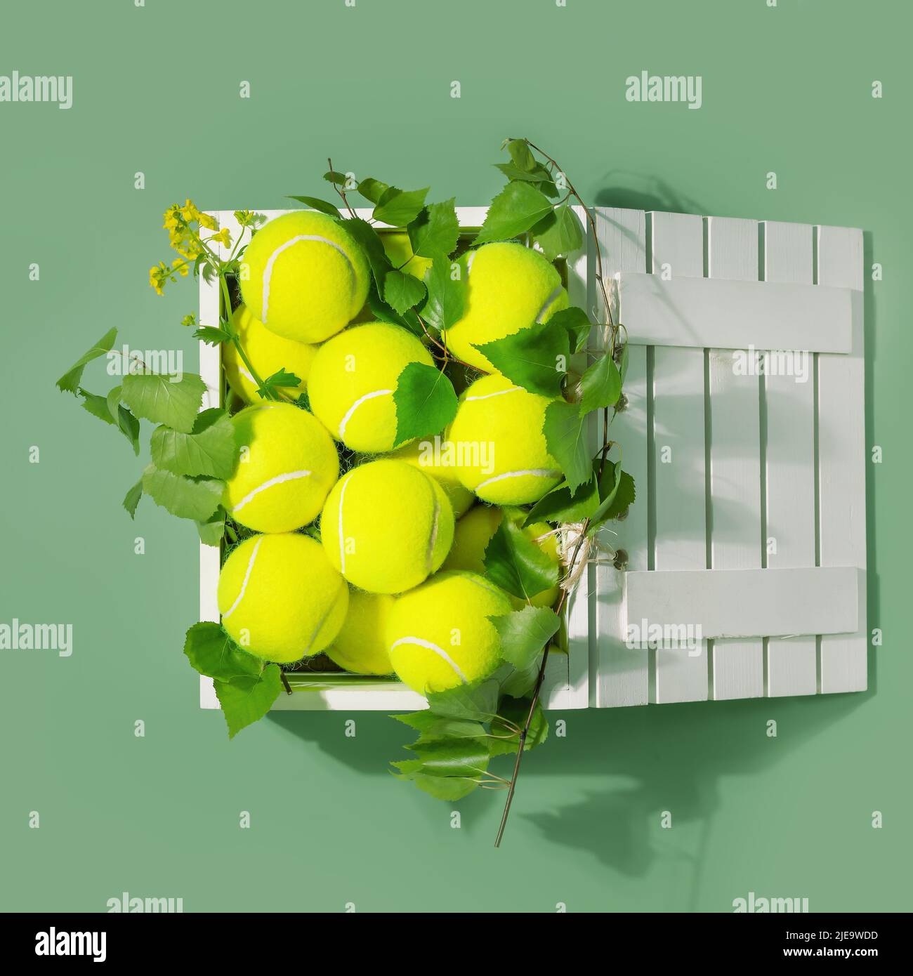 Composizione tennis con palline da tennis gialle in una scatola bianca di legno con rami verdi su sfondo verde. Estate, gara di tennis. Disposizione piatta Foto Stock