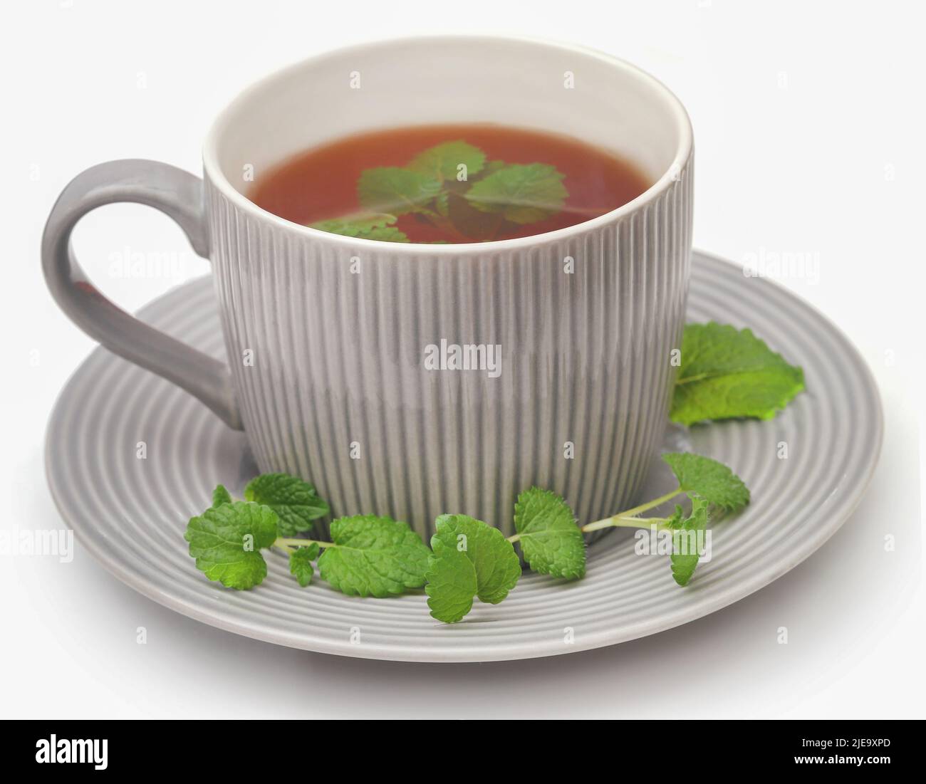 Foglie di balsamo al limone con tè alle erbe su sfondo bianco Foto Stock