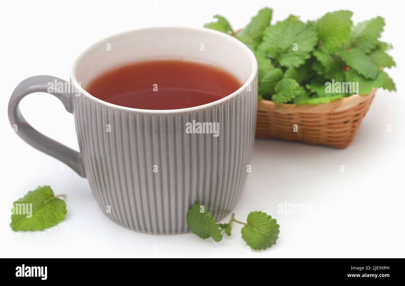 Foglie di balsamo al limone con tè alle erbe su sfondo bianco Foto Stock