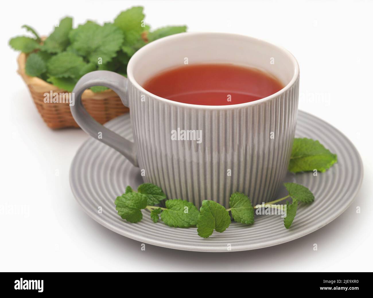 Foglie di balsamo al limone con tè alle erbe su sfondo bianco Foto Stock