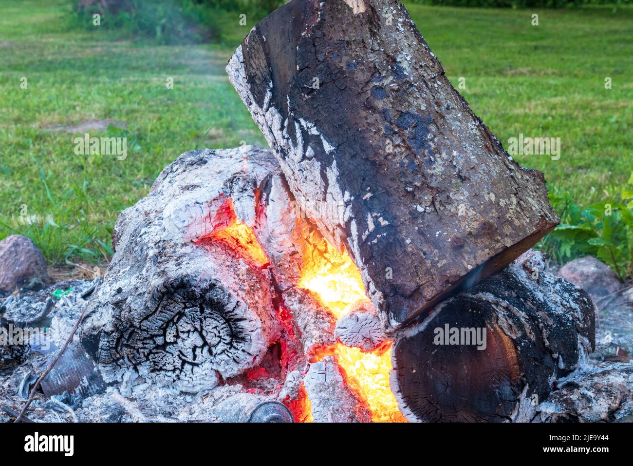 fuoco fiamme in erba verde Foto Stock