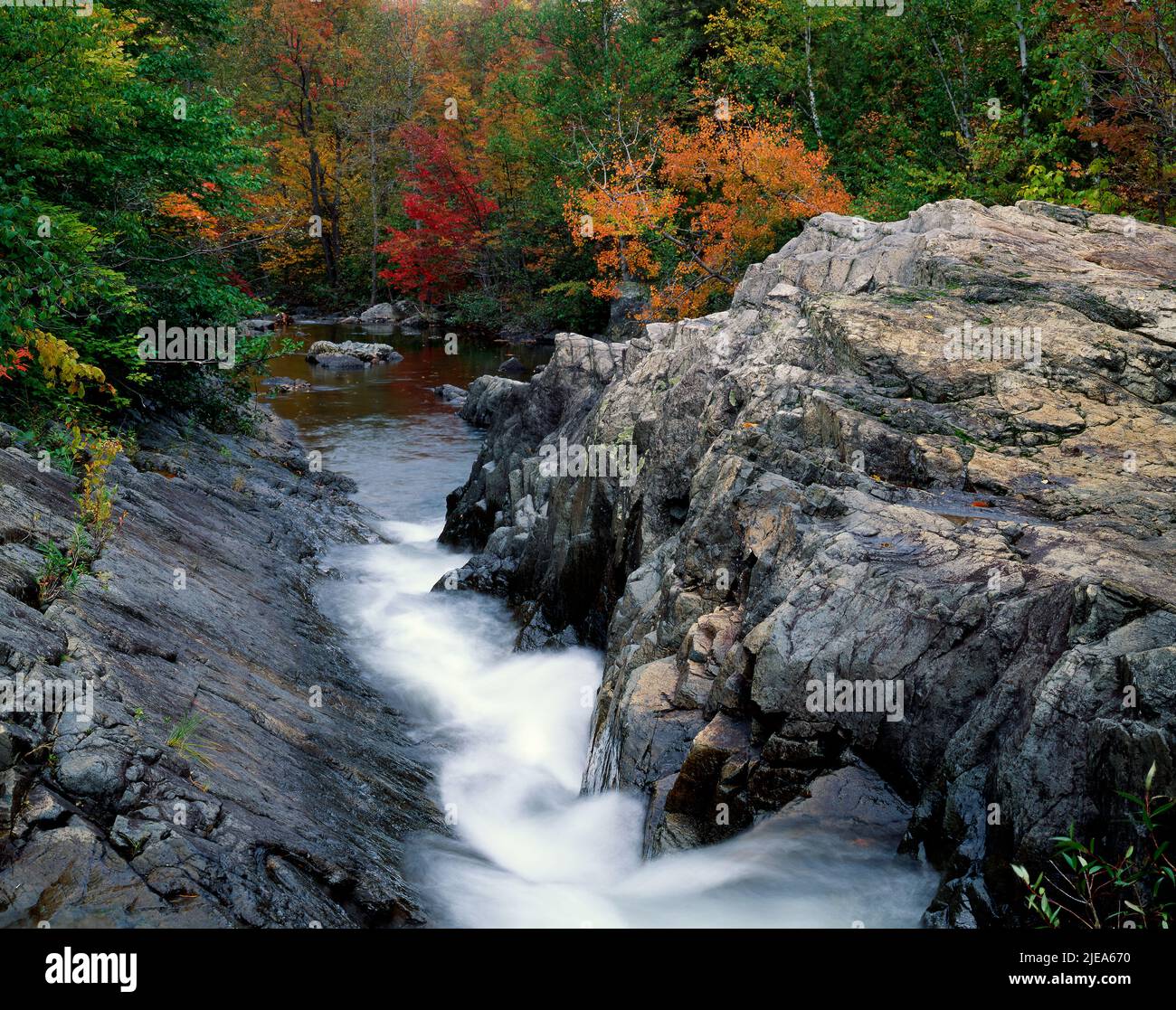 Cascate di Trout Creek, autunno, Baxter state Park, Maine, USA, Di Gary A Nelson/Dembinsky Photo Assoc Foto Stock