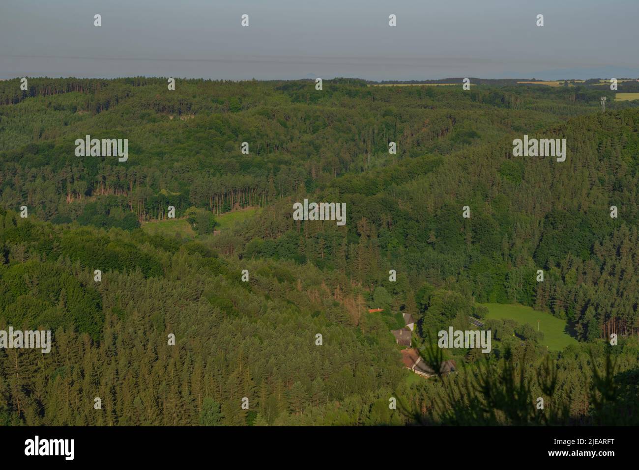 Kokorinsko zona con foreste profonde e rocce in estate caldo giorno di colore Foto Stock