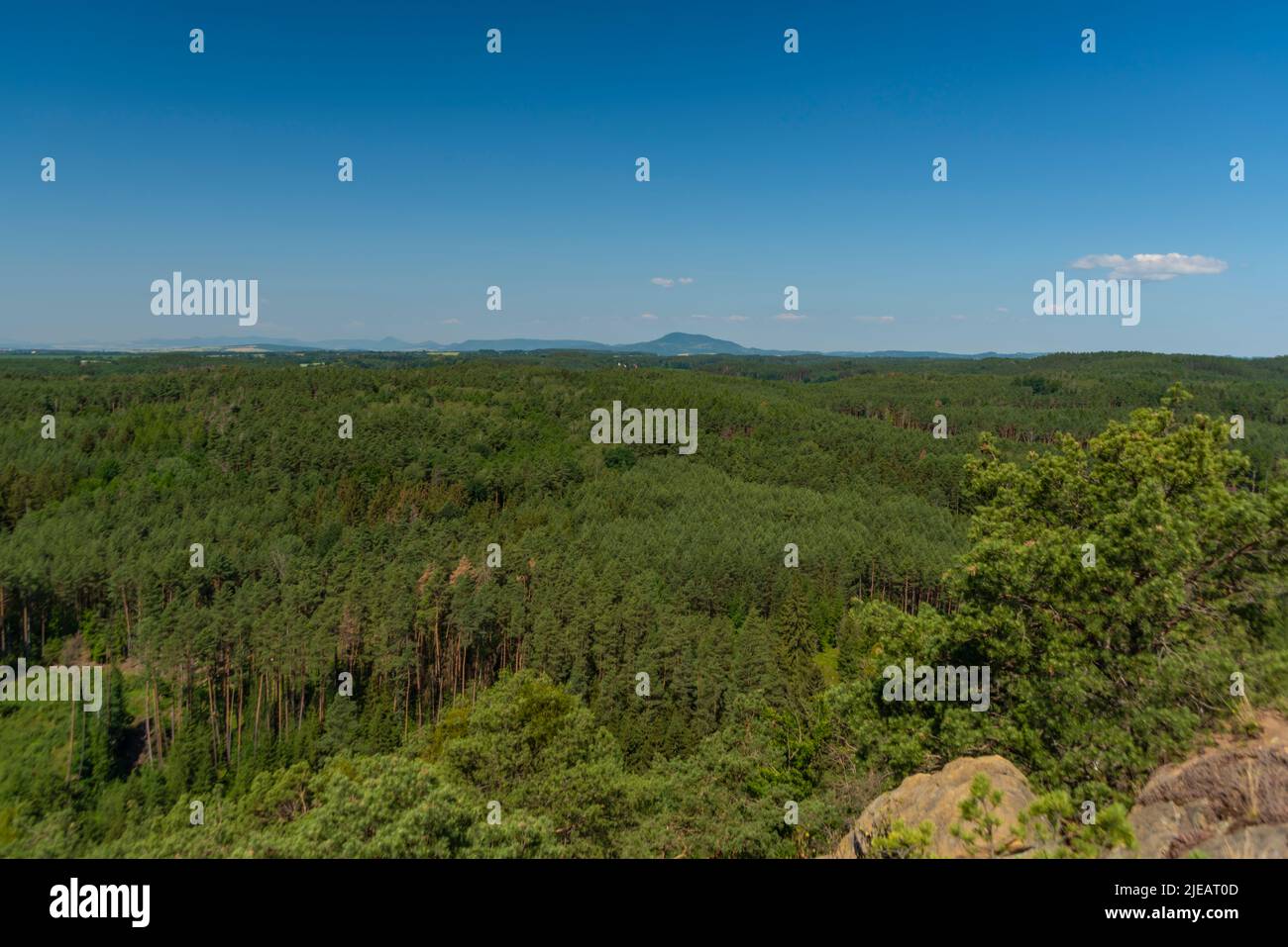 Kokorinsko zona con foreste profonde e rocce in estate caldo giorno di colore Foto Stock