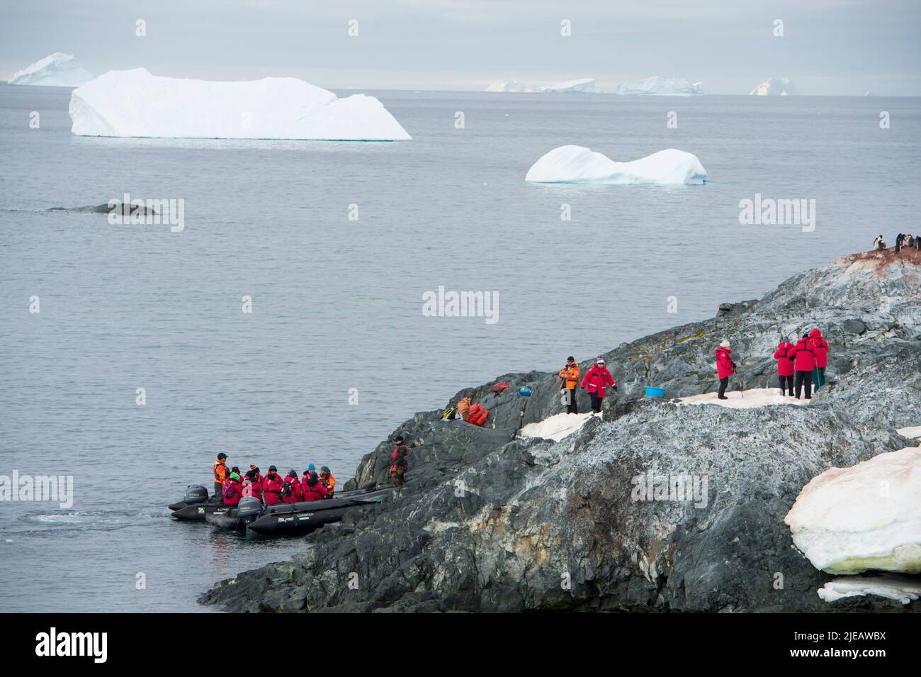 I turisti atterrano sulle isole Yalour nella penisola antartica Foto Stock