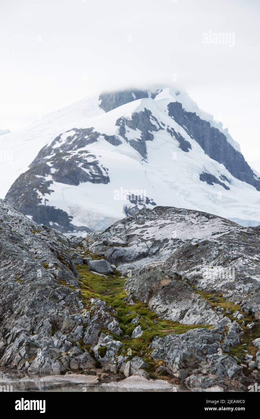 Isole Yalour nella penisola antartica Foto Stock